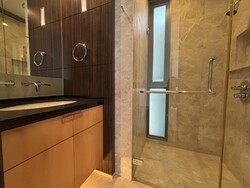 The Ladyhill (D10), Condominium #596718111
